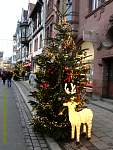 p1000280.jpg